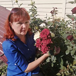 �����, �����������, 52 ����