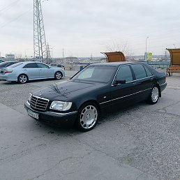 Romey, , 40 