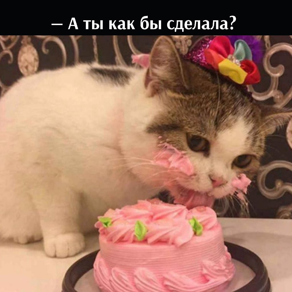       - 23  2022  10:17 - 2