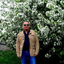 ���� �����, ������, 61 ��� - ��������� 9 ������ 2023