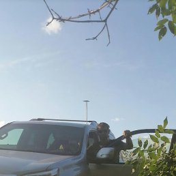 ������, ������, 40 ���