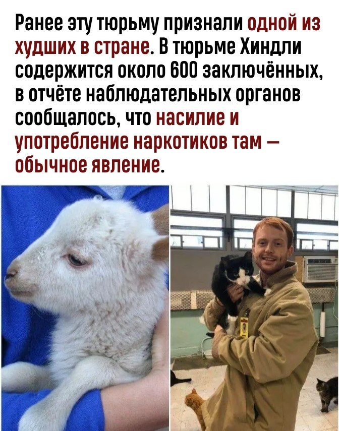   - 2