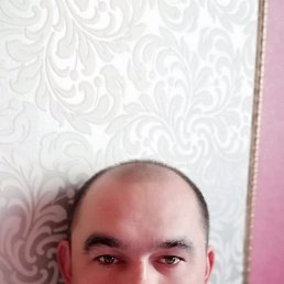 ���� �����, ������, 42 ���� - ��������� 10 ������ 2022