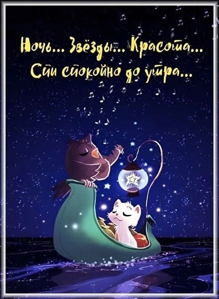   ,    . - 14  2022  20:38 - 7
