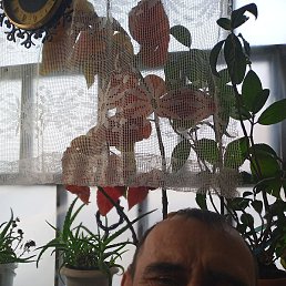 , , 51 