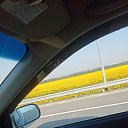  , , 37  -  7  2022    