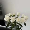 ���� ��������, ������, 51 ��� - ��������� 6 ������� 2023 � ������ ���� ����������