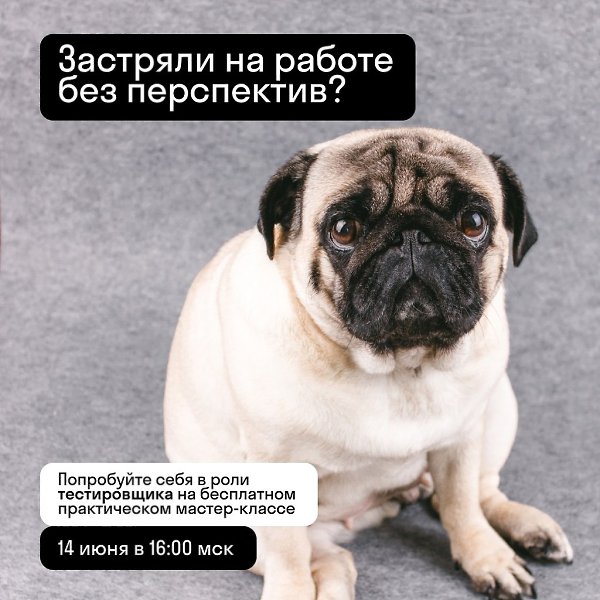 Профессия тестировщик: как с нуля стать востребованным IT-специалистом. 14 июня в 16.00 ждем вас на ...