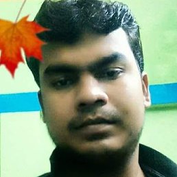 Bosr, , 33 