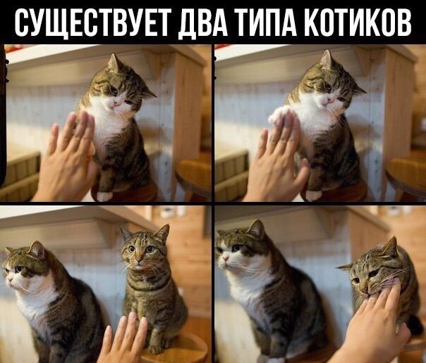   - 27  2022  04:24
