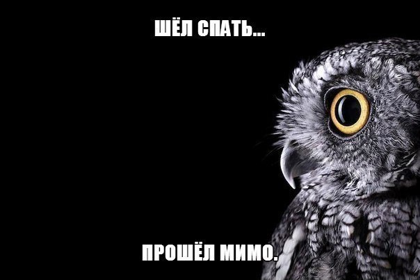   - 2  2022  23:37