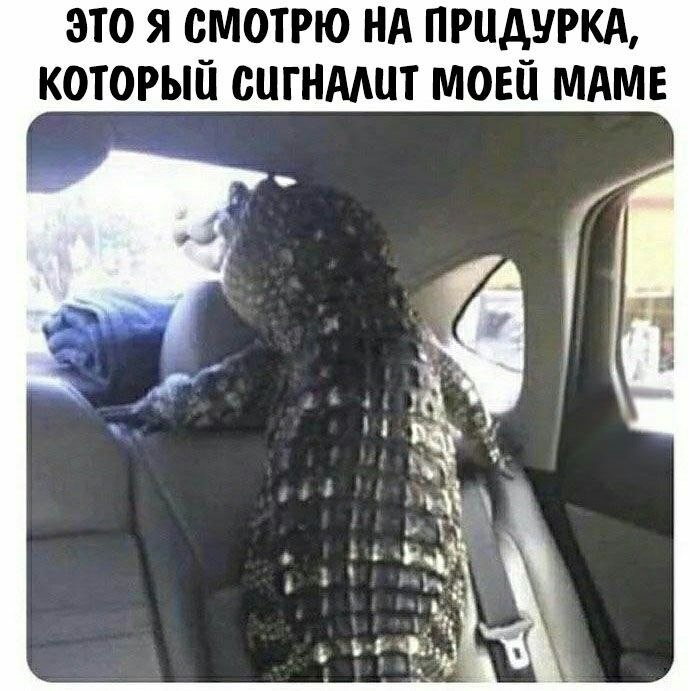    - 10  2022  18:24