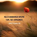 ���� �������, ������, 68 ��� - ��������� 5 ������ 2022 � ������ ������ ��������