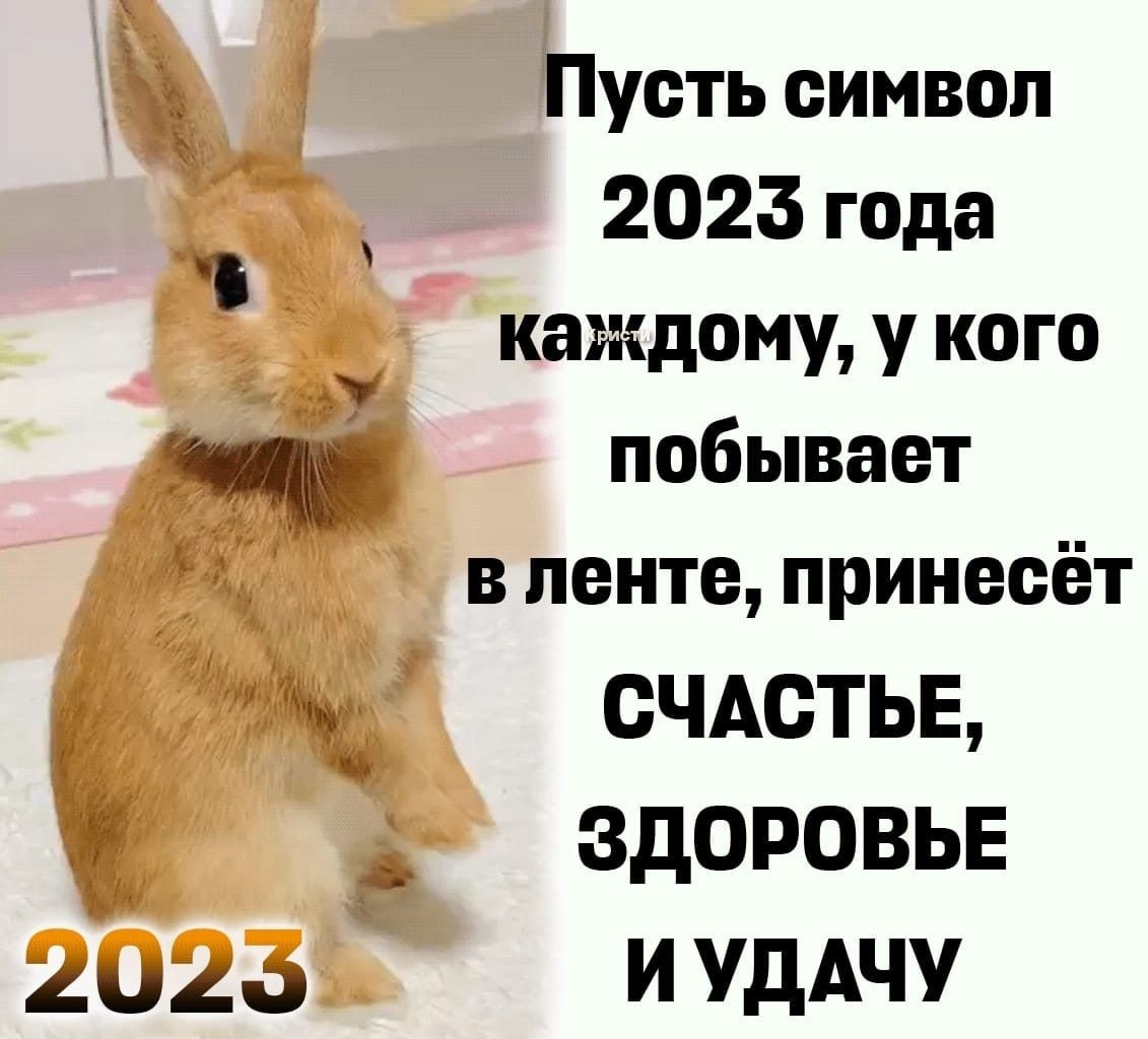   - 1  2023  22:52