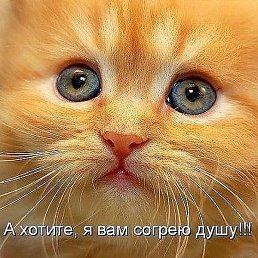 , , 62 
