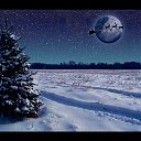 ���� �����, ����, 40 ��� - ��������� 1 ������� 2022 � ������ ����� 2022 (17:12 1/12/2022)�