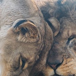 ������, ������, 28 ���