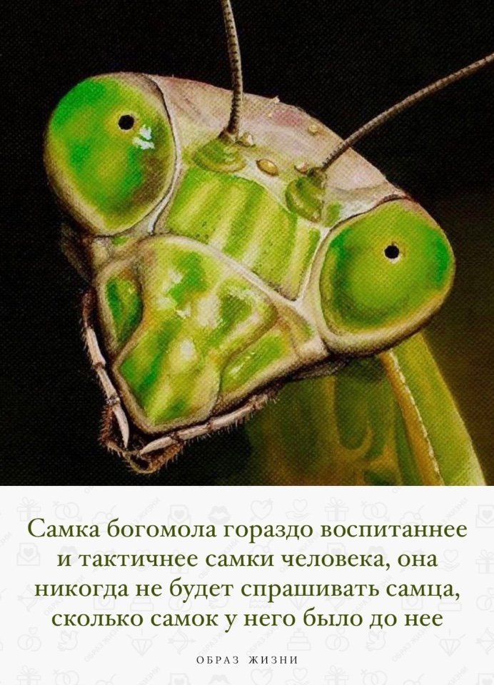 Co-Motivation.... . - 24  2022  17:46