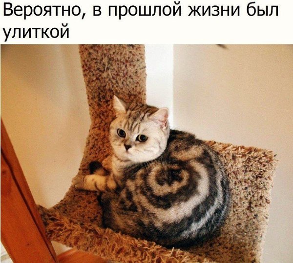    - 10  2022  13:22