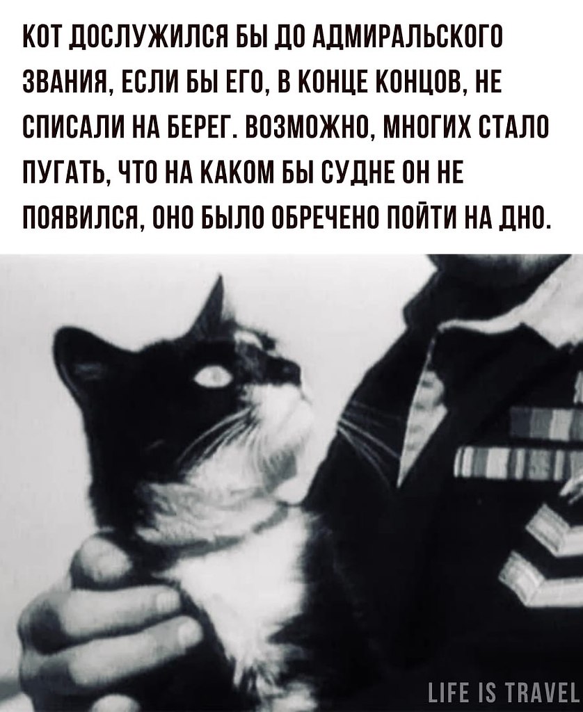 LIFE -  - 29  2022  07:54 - 6