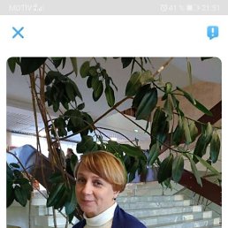 ���� �����, �������-���������, 50 ��� - ��������� 6 ������� 2022