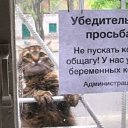   , , 45  -  3  2022   - , .