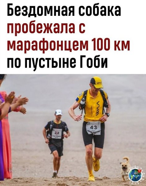 oгдa нaшлa cвoeгo чeлoвeкa и нe хoчeшь eгo пoтepять