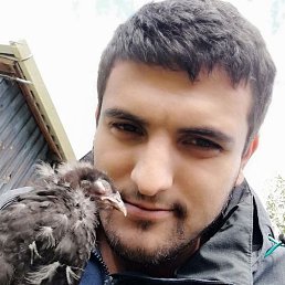 �����������������, ��������, 30 ���