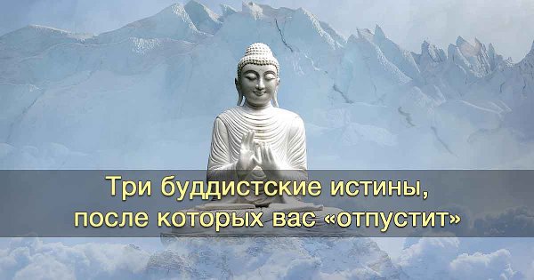 Иногда кажется, что жизнь несправедлива именно к нам, именно здесь и сейчас, а все попытки исправить ...