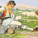  Orhan, , 56  -  5  2023    