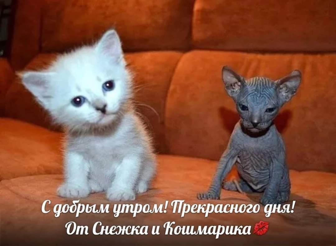 :)