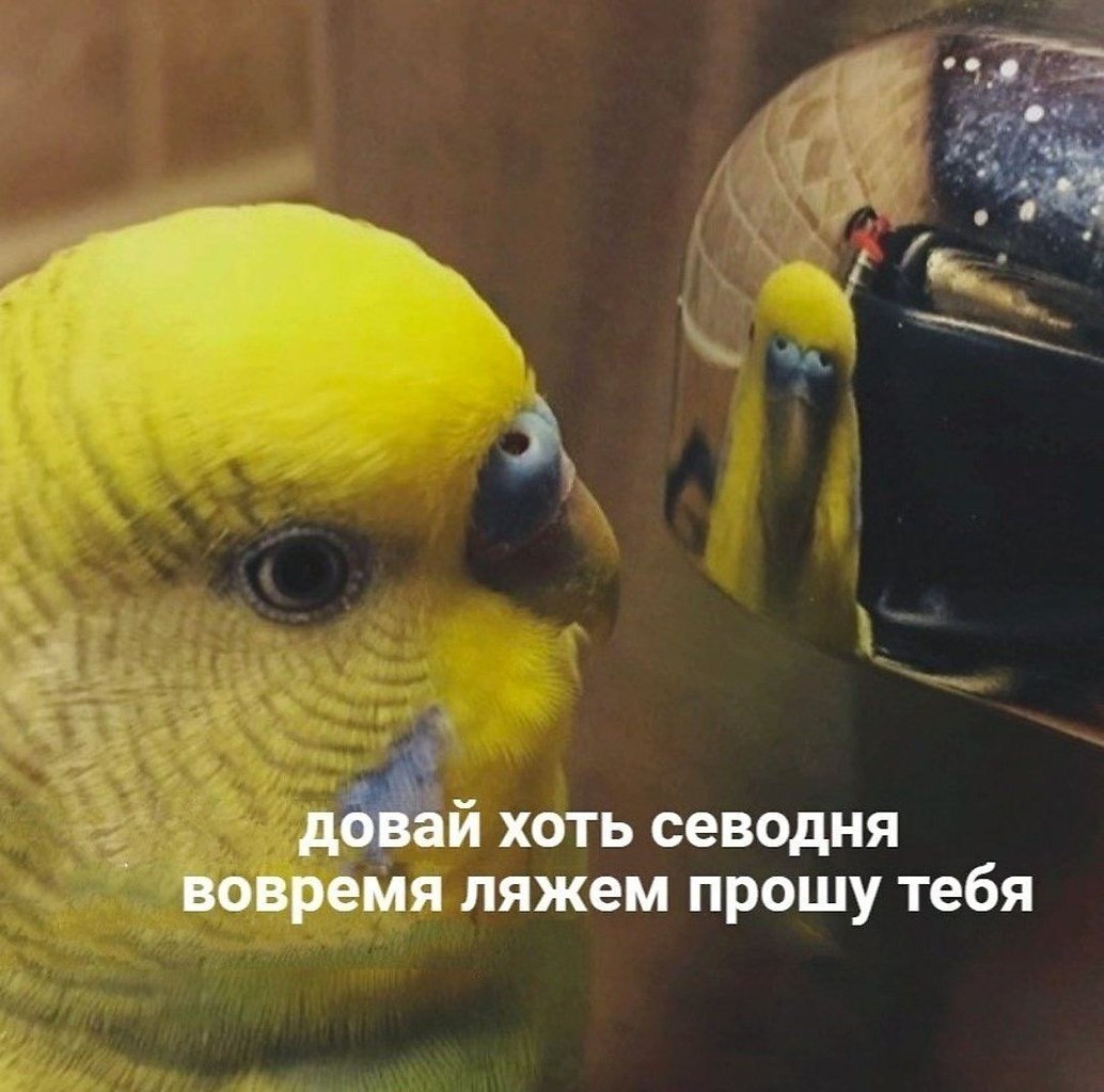    - 19  2023  13:22