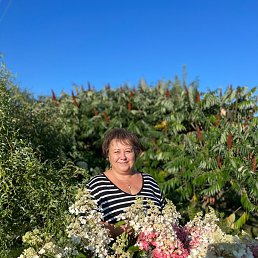 ���� �����, ������, 62 ���� - ��������� 15 ������� 2022