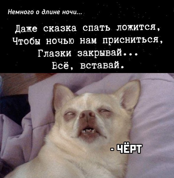***Victoria Viktorovna*** - 30  2022  05:29