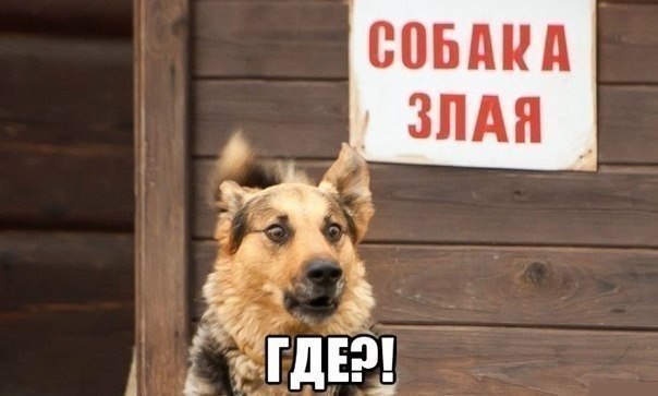   - 12  2023  14:46