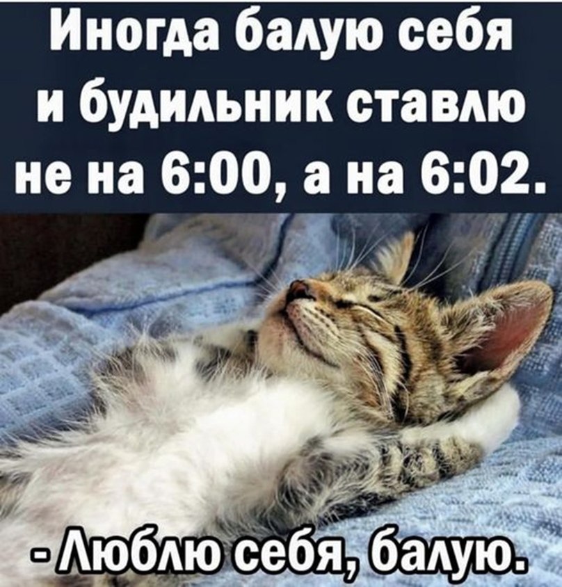   - 15  2022  19:43
