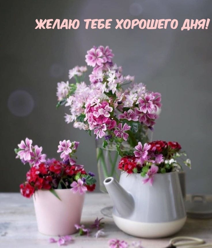   ! - 9  2022  13:18