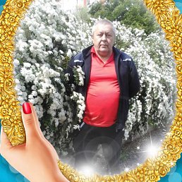 ���� �����, �������, 68 ��� - ��������� 15 ���� 2022