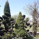 ���� �����, ���������, 48 ��� - ��������� 10 ������� 2022