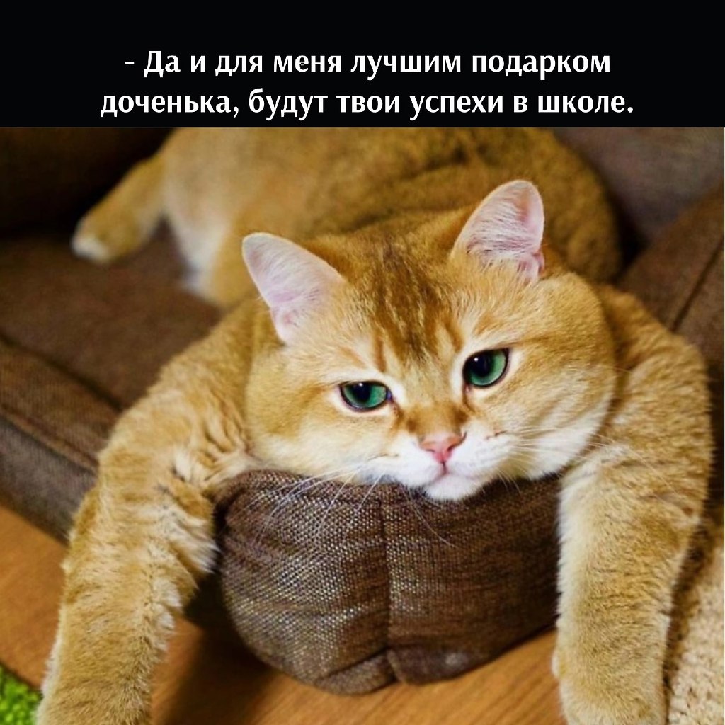       - 25  2022  17:06 - 2