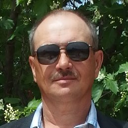 ������, ���������, 65 ���