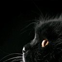 ���� ����, ������, 23 ���� - ��������� 5 ������� 2023 � ������ ���� ����������