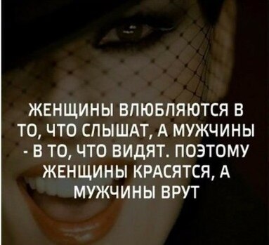  - 11  2022  04:31
