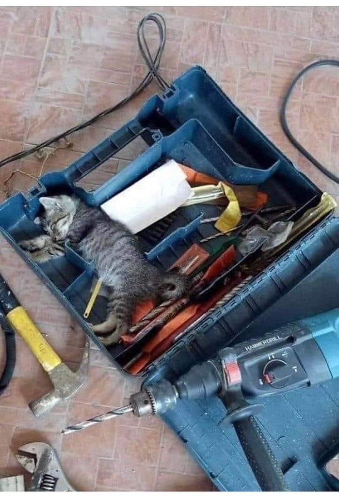 )