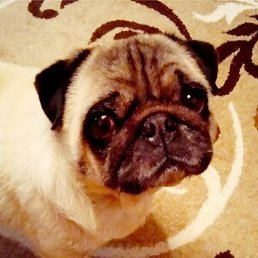 ������, ������, 40 ���