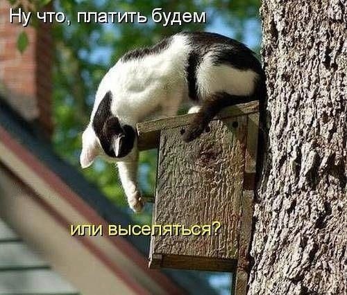    - 26  2022  03:23