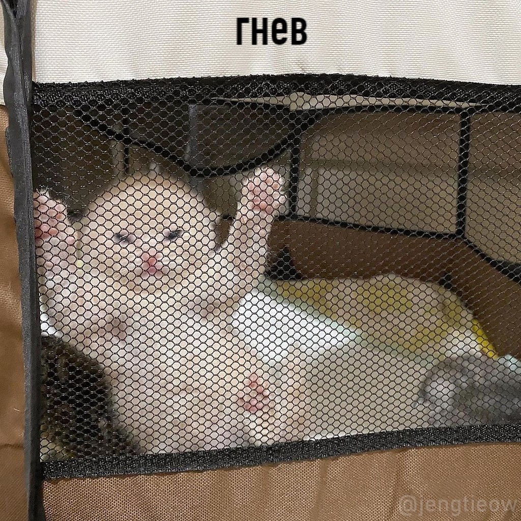    : - 2