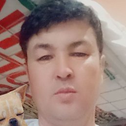 �����, ������, 36 ���