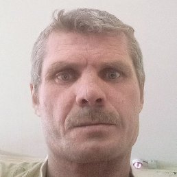 , , 46 