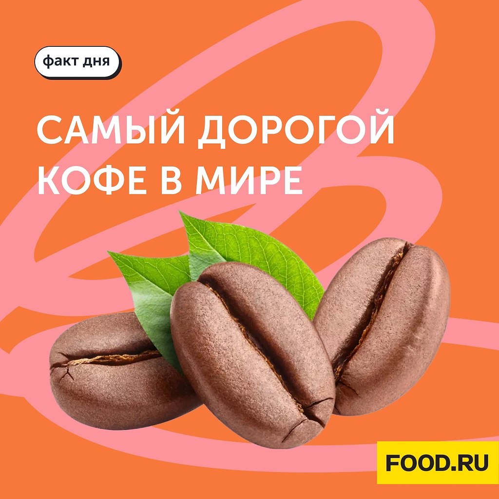 Факт дня: самый дорогой кофе в мире.Рассказываем про интересный сорт кофе, который получают ...